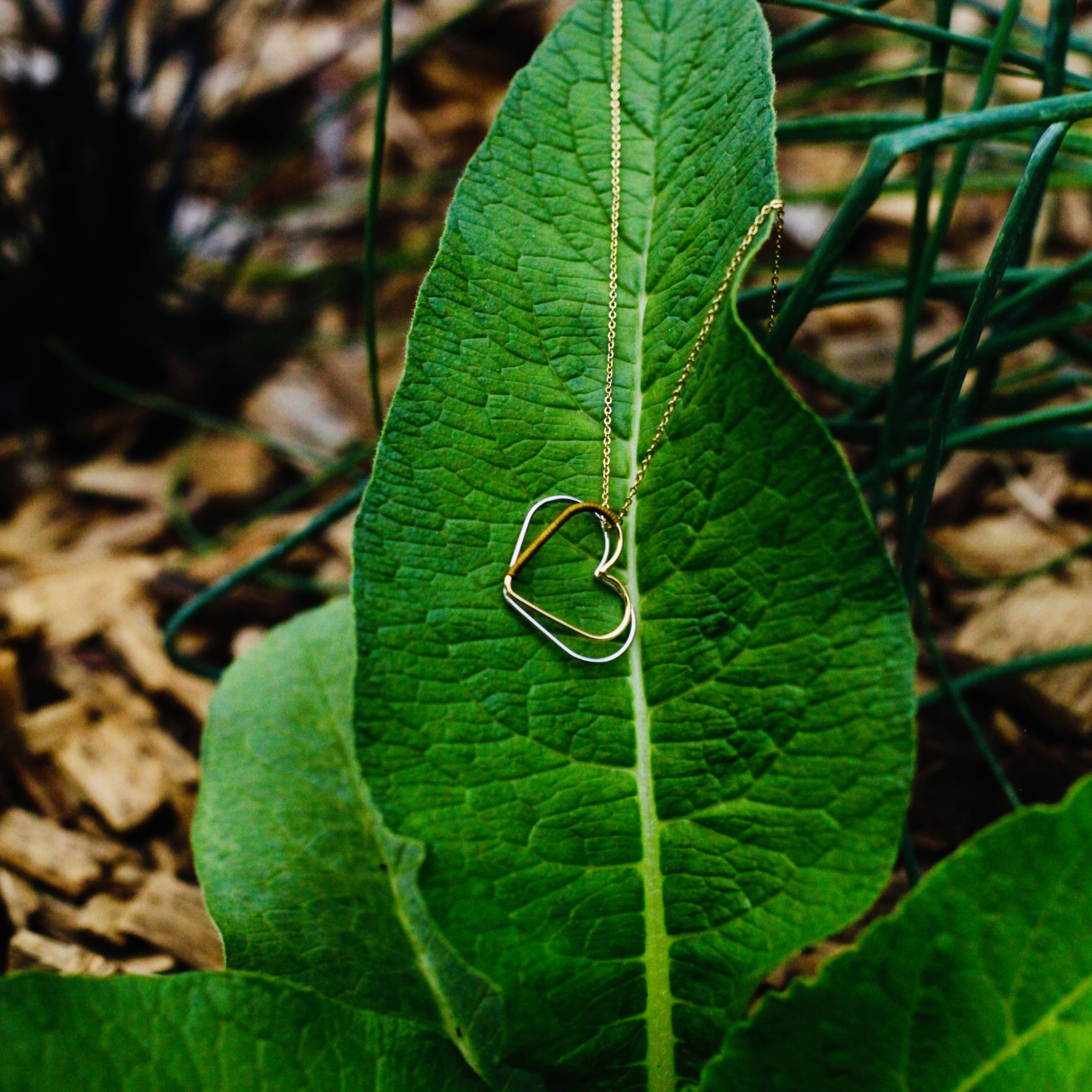 la vie le coeur lamour 5